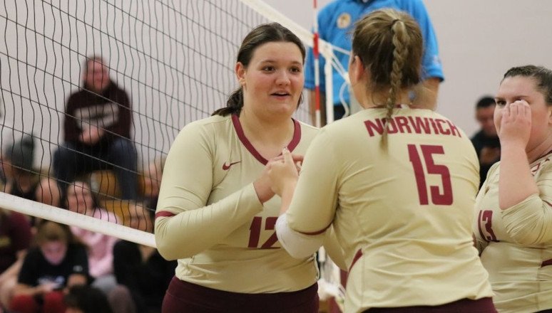 Volleyball in action