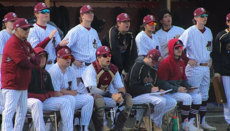 Baseball in action