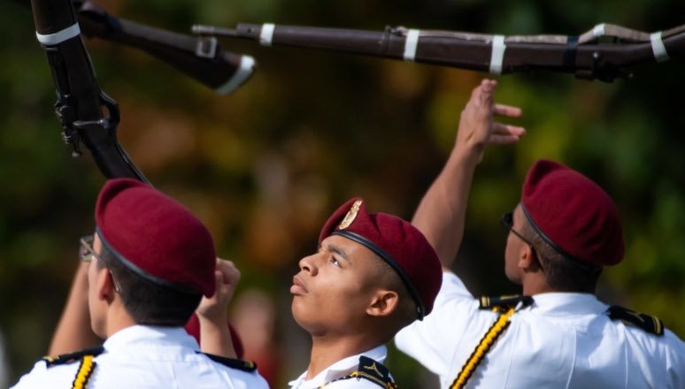 shock platoon performance